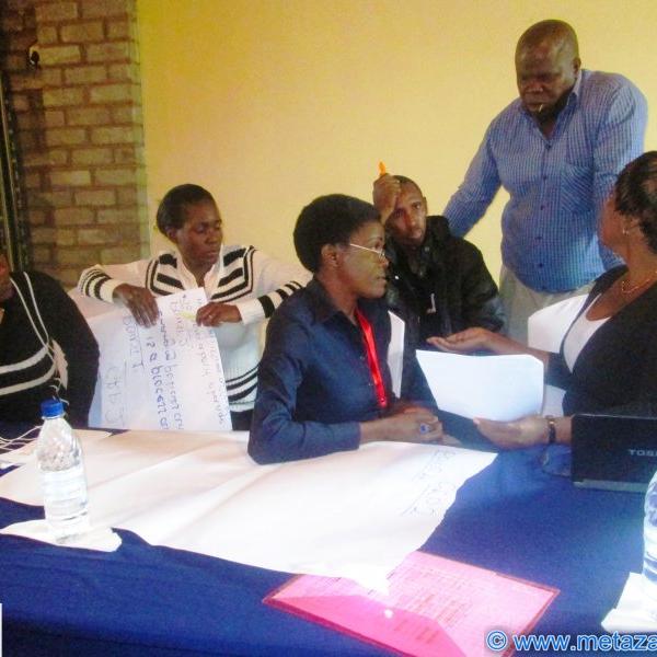 CSO Workshop in Livingstone